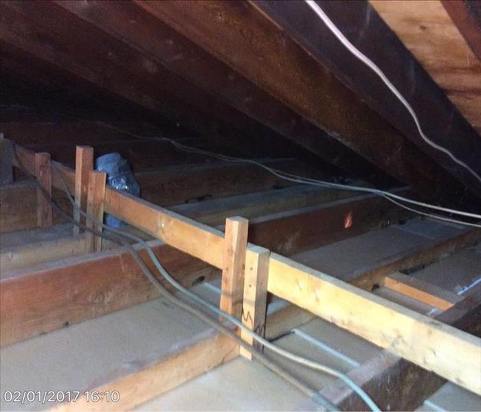 view of attic floor, joists, and rafters--clean and empty, not even insulation